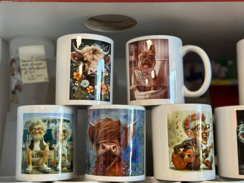 2 MS CONCEPT particuliers (4)