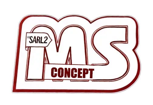Logo 2MS concept
